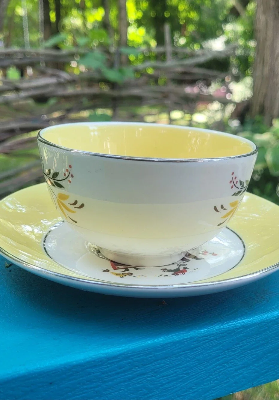 Dutch Farmer Tea Cups & Saucer Plate Set Farmhouse Farmers Wife Cottagecore